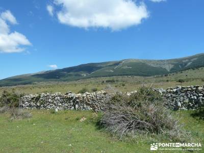 El pinar del Puerto de Navafría;nacimiento del río cuervo;la barranca navacerrada